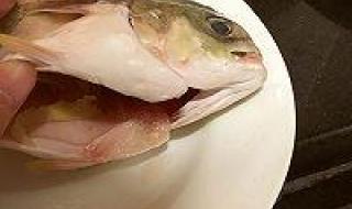 金鲳鱼各种做法 清蒸金鲳鱼做法